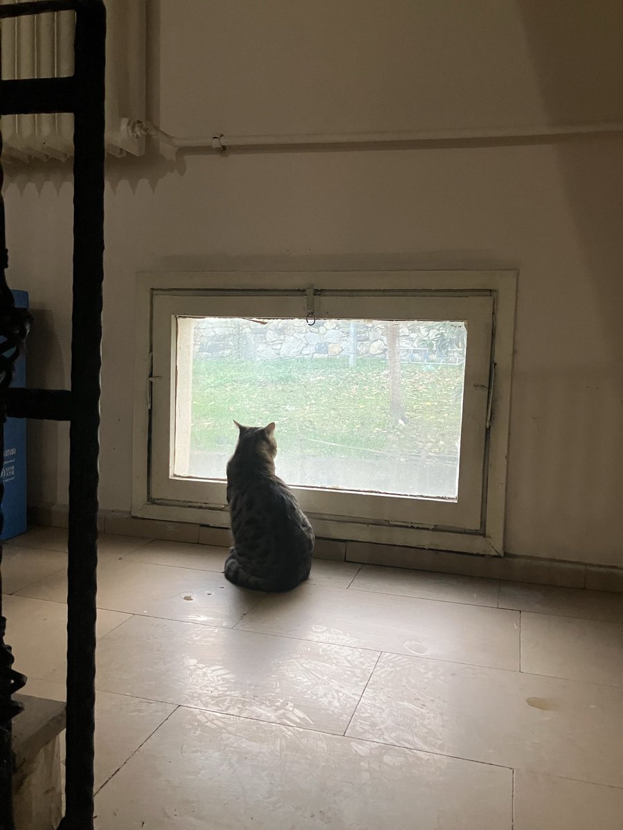 Hayat bazen böyle hissettirebiliyor