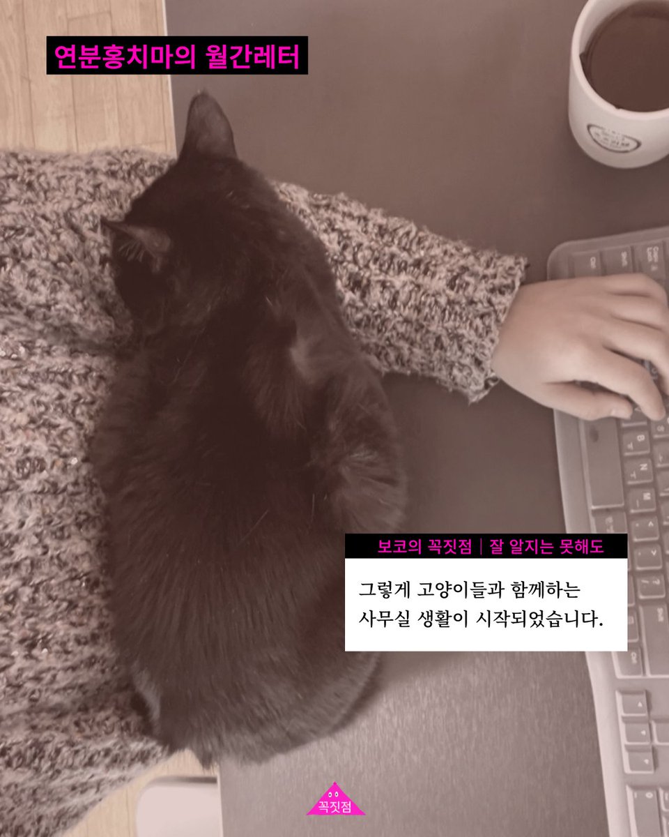 연분홍치마 tweet media