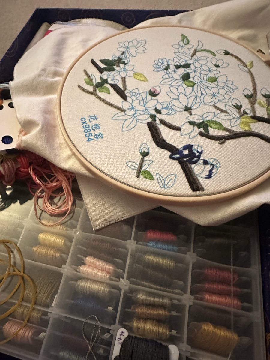 Did you guys know how long this took me to organize back when I was in my embroidery phase and my auntie decided to give me her old threads?