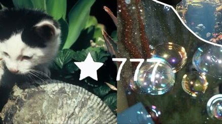 hchanbite's tweet image. 🐇₊˚ʚ𝐋𝐨𝐠 𝐀𝐔 𝐲𝐚𝐧𝐠 𝐮𝐝𝐚𝐡 𝐤𝐮 𝐣𝐞𝐥𝐚𝐣𝐚𝐡𝐢
•
•