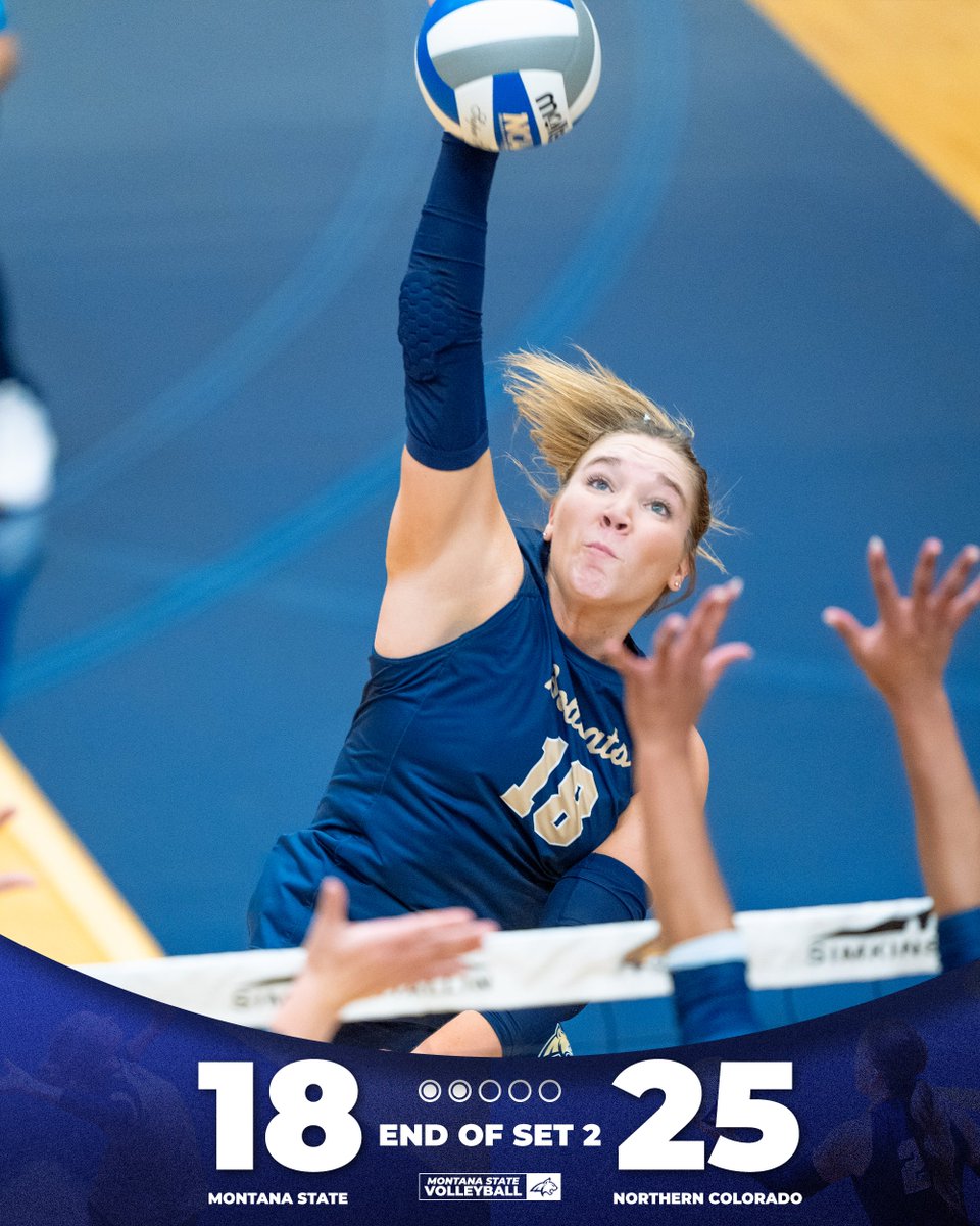 Montana State VB tweet media