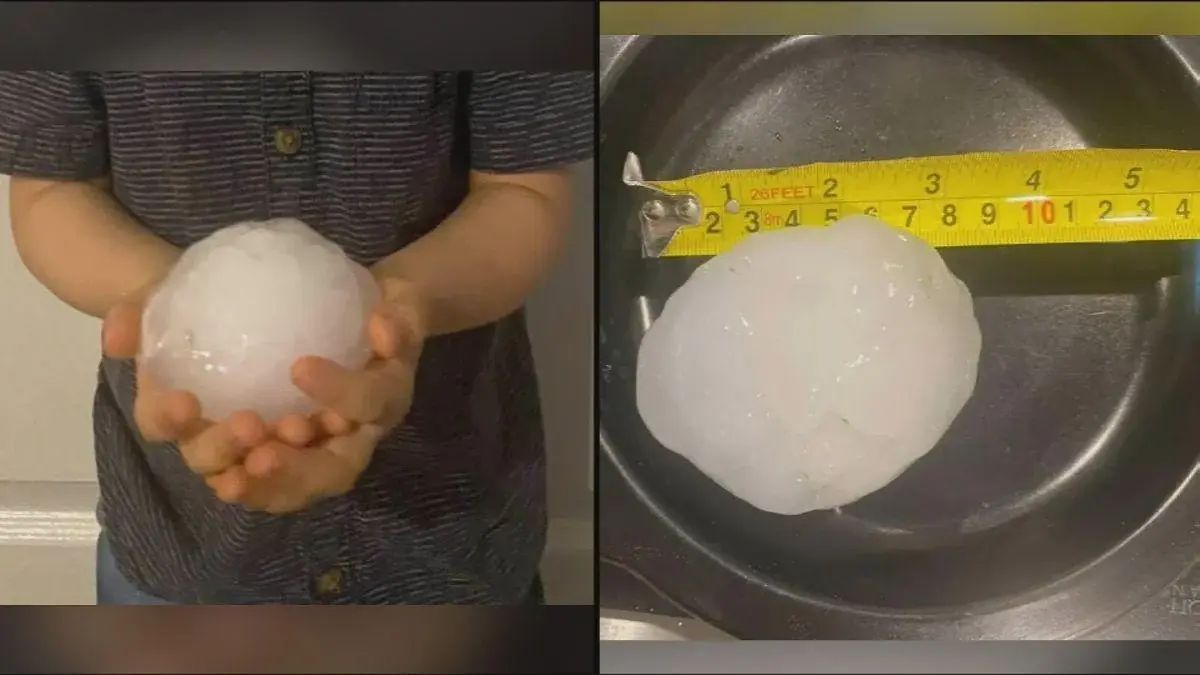 AMAZlNGNATURE's tweet image. The size of the hail in Brisbane, Australia yesterday.