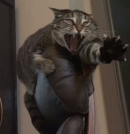 PhrikkenZazzed's tweet image. Same image