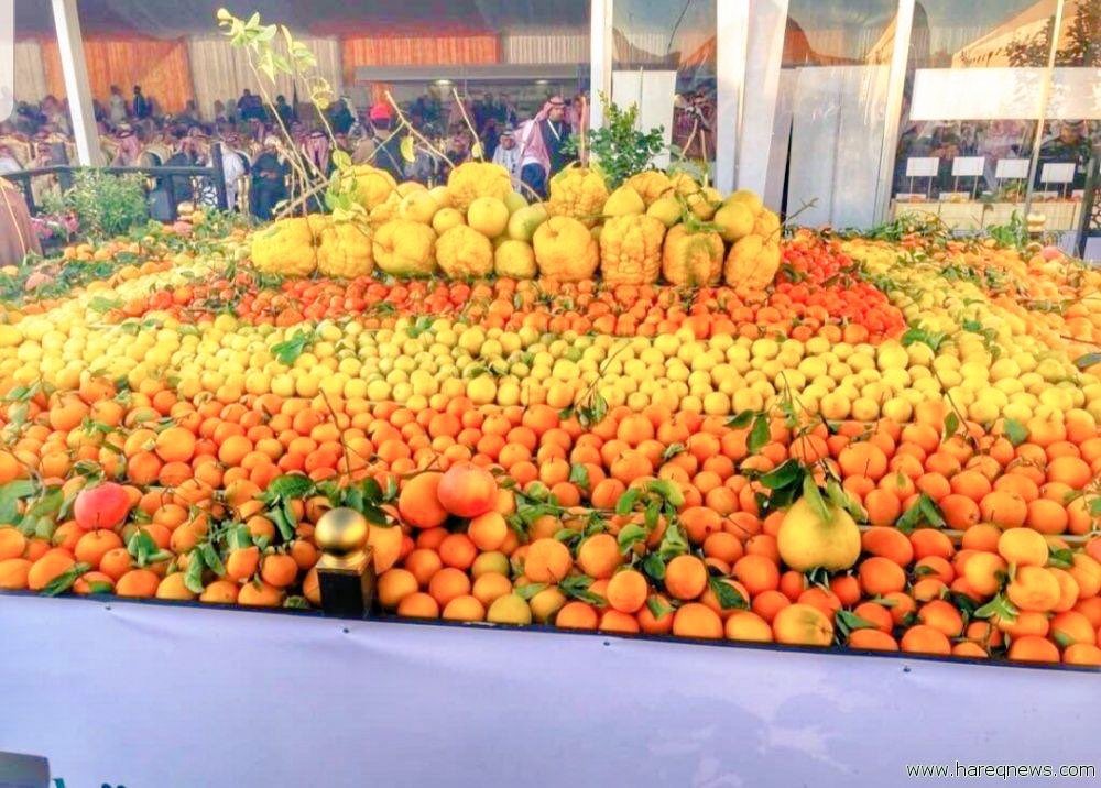 صباح الخيرات