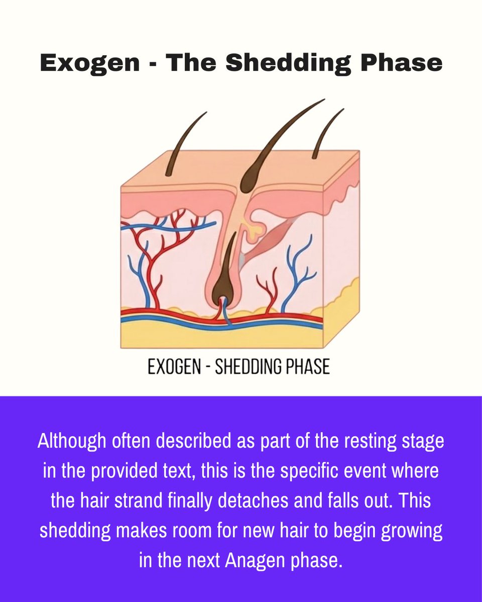 Genpulse tweet media