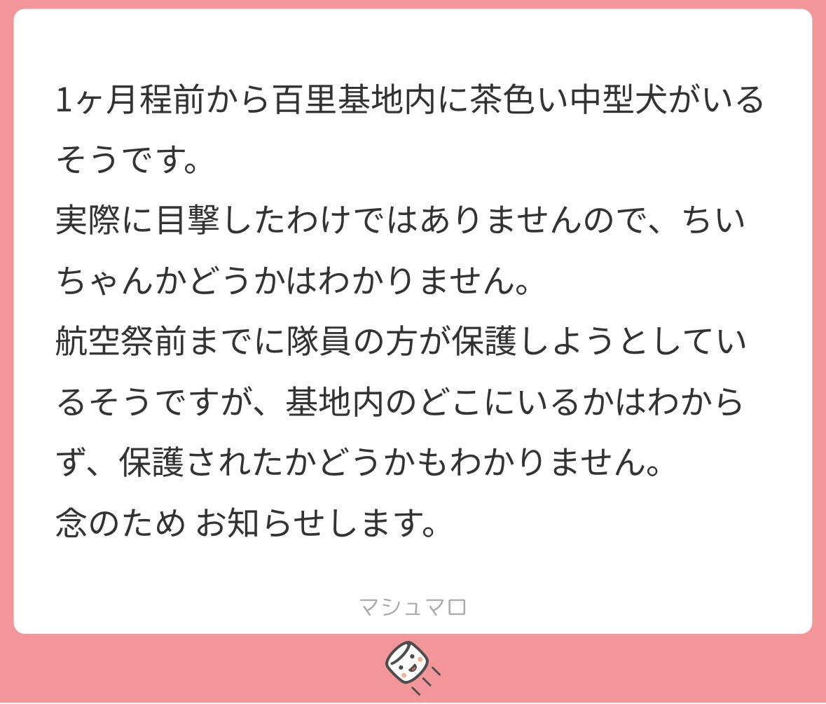ちい🆘茨城県小美玉市田木谷 迷子犬を探しています tweet media