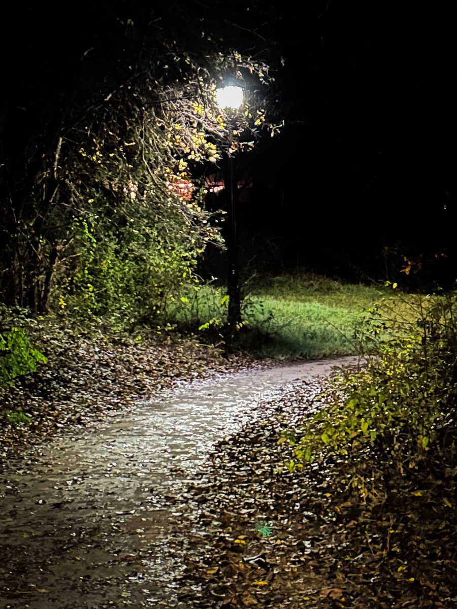 CrossTBlog's tweet image. We went to see the lights tonight in Yukon. My favorite part was walking around the back side trail and getting some night photos. The lights were great too.