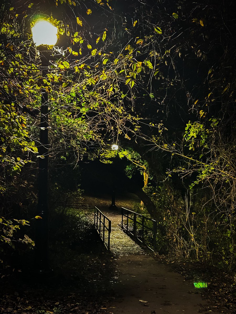 CrossTBlog's tweet image. We went to see the lights tonight in Yukon. My favorite part was walking around the back side trail and getting some night photos. The lights were great too.