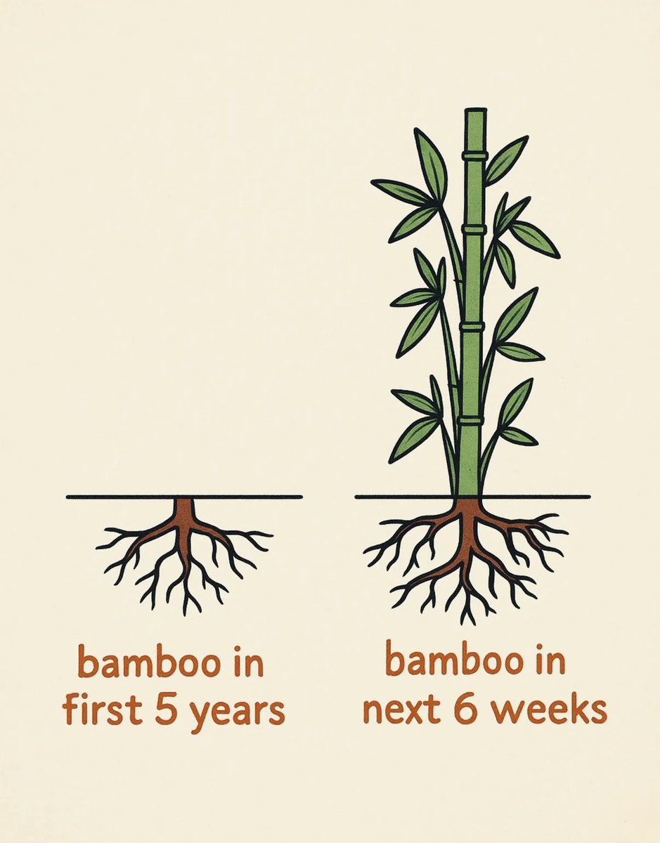 readswithravi's tweet photo. Growth takes time. https://t.co/LdBAFpfi44