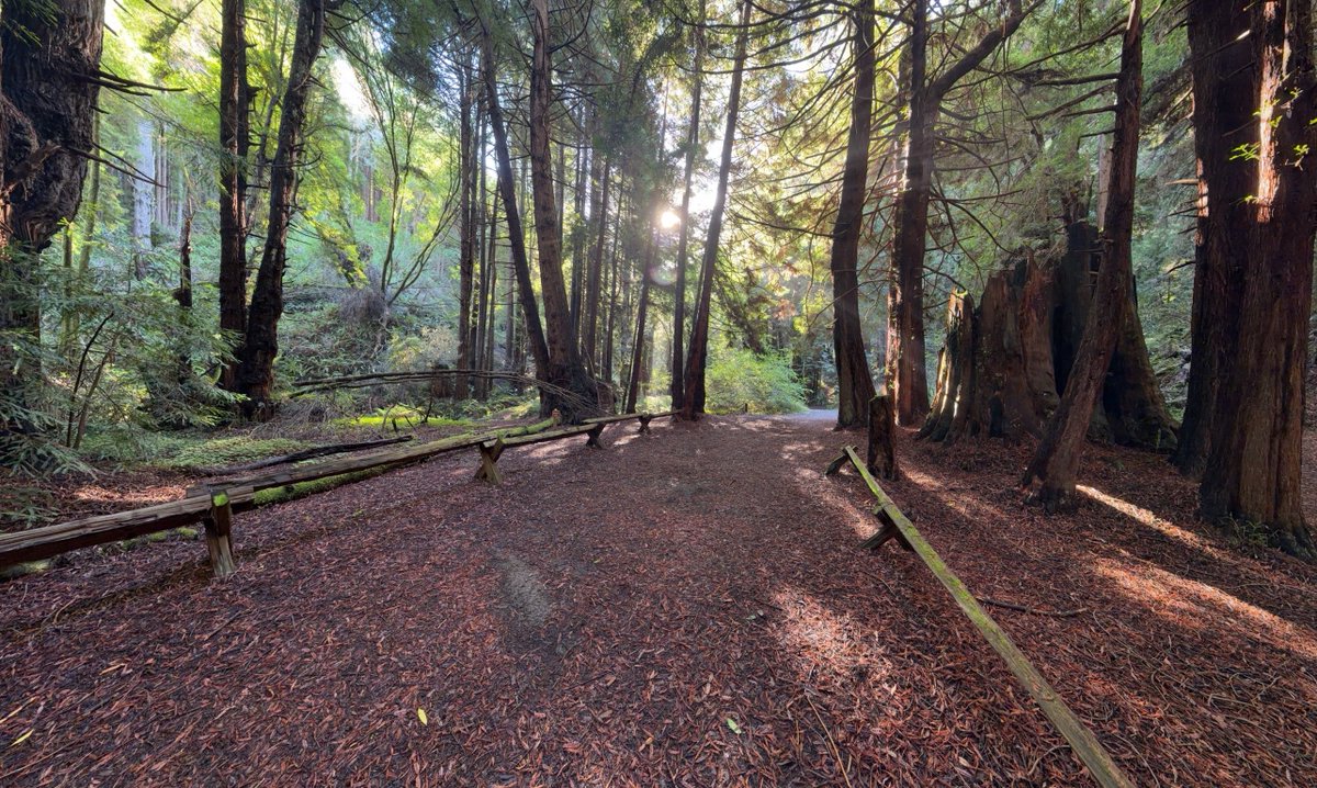 Jason Chin tweet media