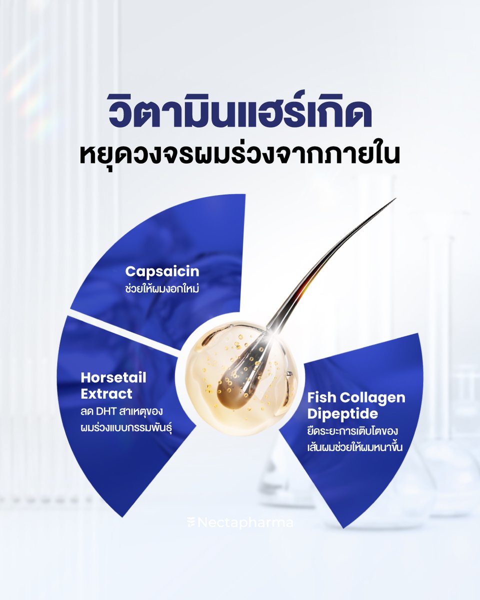 nectapharma's tweet image. ผมร่วงหลบไปแฮร์เกิดจะเดิน!
วิตามินดูแลผมร่วงอย่างตรงจุด
.
Nectahair #วิตามินแฮร์เกิด
✔️ลด DHT สาเหตุหลักของผมร่วงแบบกรรมพันธุ์
✔️ช่วยการงอกใหม่ของเส้นผม
✔️เติมวิตามินที่จำเป็นสำหรับเส้นผม
✔️ลดการอักเสบของหนังศีรษะ
คืนความมั่นใจให้ผมอีกครั้ง
ช้อปเลยที่ Nectapharma
.
💥สนใจรับโปร…