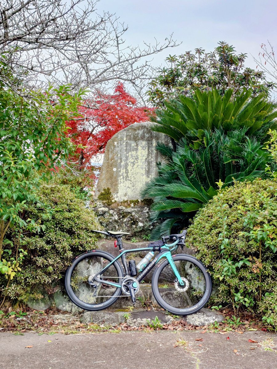 CP3 #源頼朝公配流の地蛭ケ小島
雨降ってるのですが道を湿らす程度なので雨具なしで坂下って来ちゃいました😅
#かのいちショート #サイクルボール
#OltreXR3disc #Bianchi