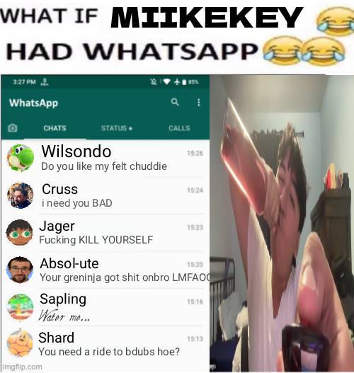 What if Miikekey had whatsapp 😂😂😂