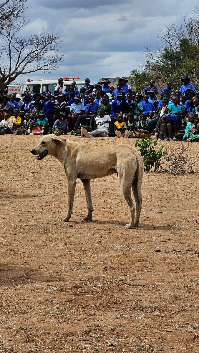 Retired Elder Rex M.E Midzi tweet media