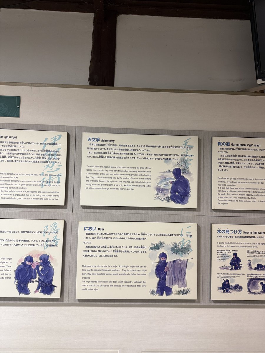 kobesur's tweet image. 忍者は気づかれない身体をつくる
生き方そのものが術だった
彼らは肉をほとんど食べなかった
理由は匂い・眠気
思考の鈍り＝命取りになるからだ
肉や乳製品は腸でガスが出やすく
体臭や呼気に残る
ネギ・ニンニク・香辛料も同じ
だから忍者の食は玄米、雑穀、根菜
干し芋、木の実…