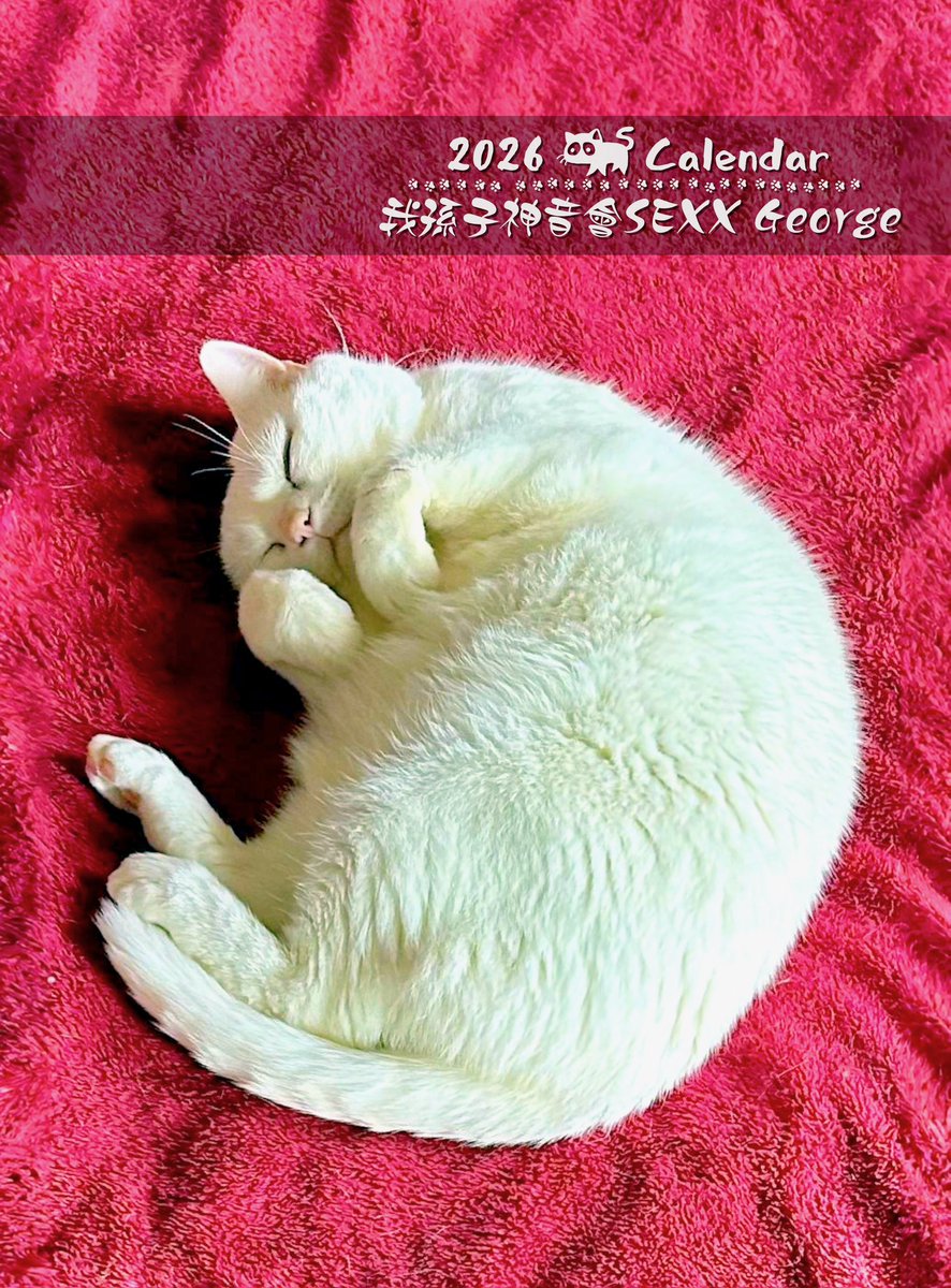 mami-ame (@manami72477740) / Posts / X