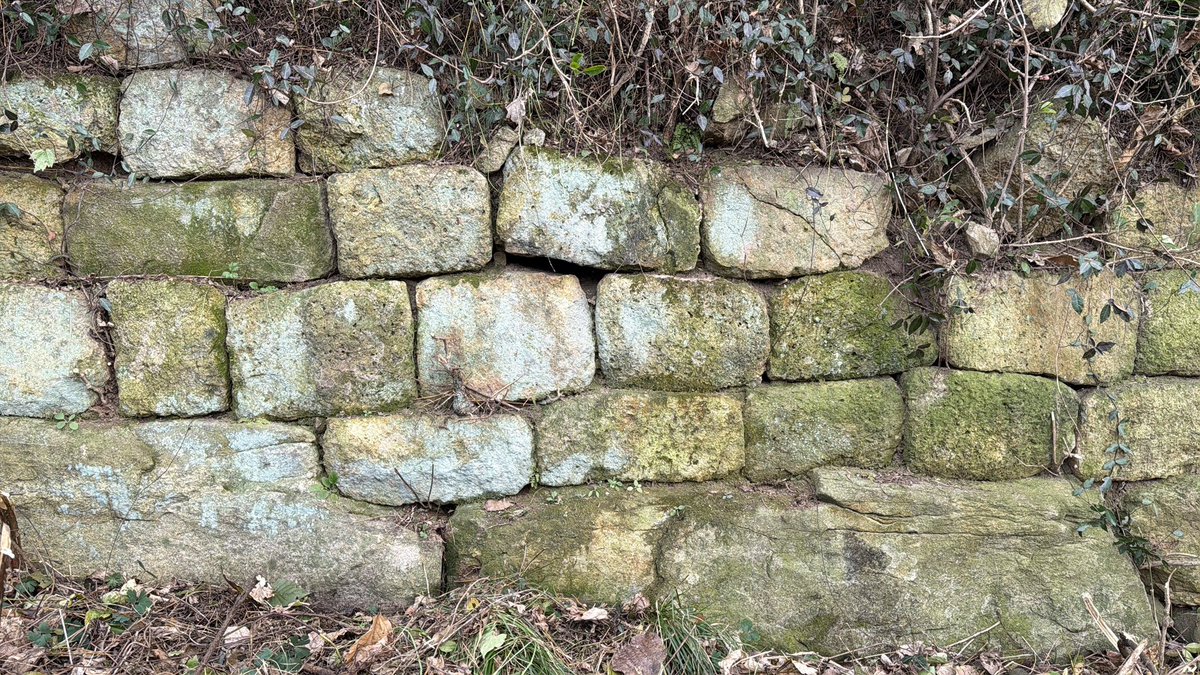 BackInMusashi's tweet image. 全羅南道 務安烽台山城。統一新羅時代の海に面した山城。強風で寒かった！今日から12月5日まで試掘調査で作業始めたところでした。