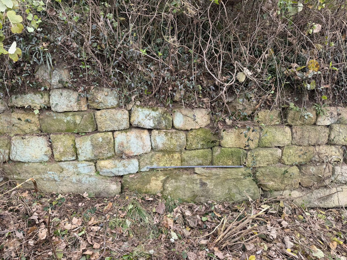 BackInMusashi's tweet image. 全羅南道 務安烽台山城。統一新羅時代の海に面した山城。強風で寒かった！今日から12月5日まで試掘調査で作業始めたところでした。