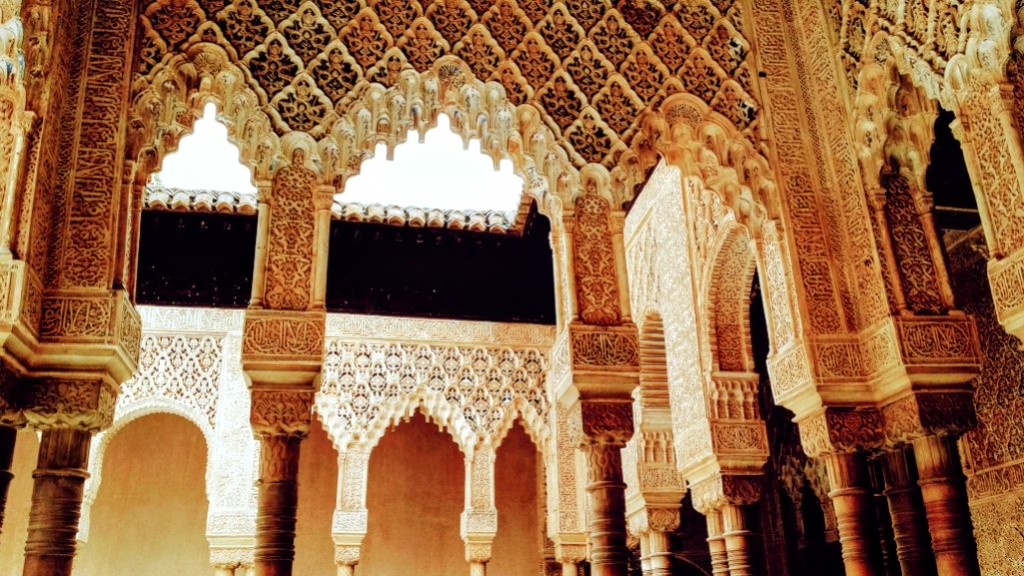 تَمّام فرحات Tammam Farhat tweet media