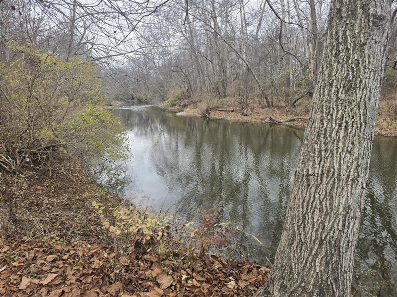 The Damsel King tweet media