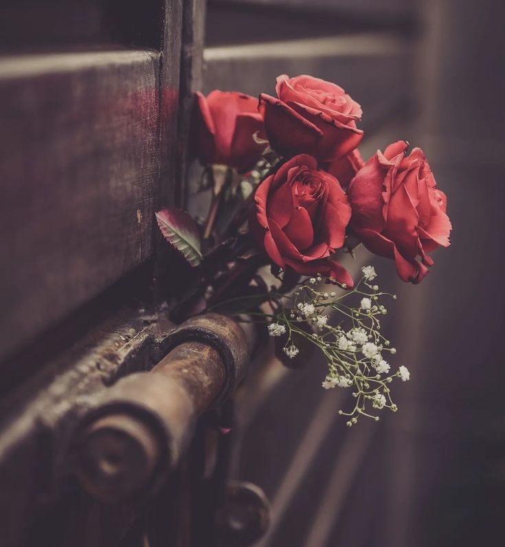 ☘️Mohabbat ki Asal
Bharosa aur Aitmaad hai...❣️

#Saheba_Ge
🏵️🍃🏵️🍃🏵️🍃🏵️🍃🏵️🍃🏵️🍃🏵️🍃🏵️🍃🏵️🍃🏵️🍃🏵️