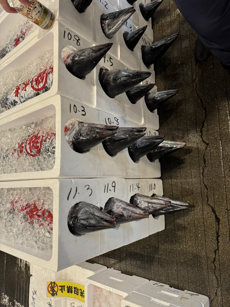 mimimi💙💛 (@mimimi94003939) / Posts / X