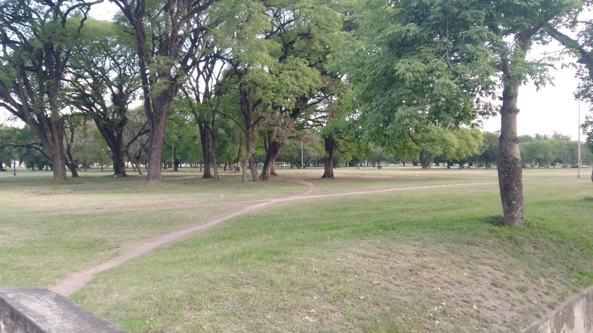 Sergio Martínez 🖊️ tweet media