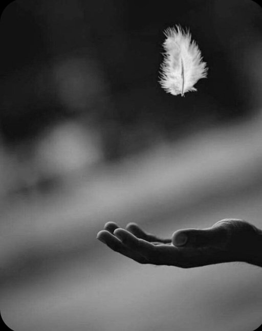 Isabelle_Isa_12's tweet image. Bonjour vous 🌹

Que ta journée
Rayonne en toi
Te transporte
Vers une légèreté
Qui allégera
Et illuminera
Ton regard
Que tes pensées
Volent
Tourbillonnent
Flottant dans l&apos;air
Du temps
Comme une plume
En  apesanteur

❣️ Bisous du cœur et tendres câlins ❣️         Isa