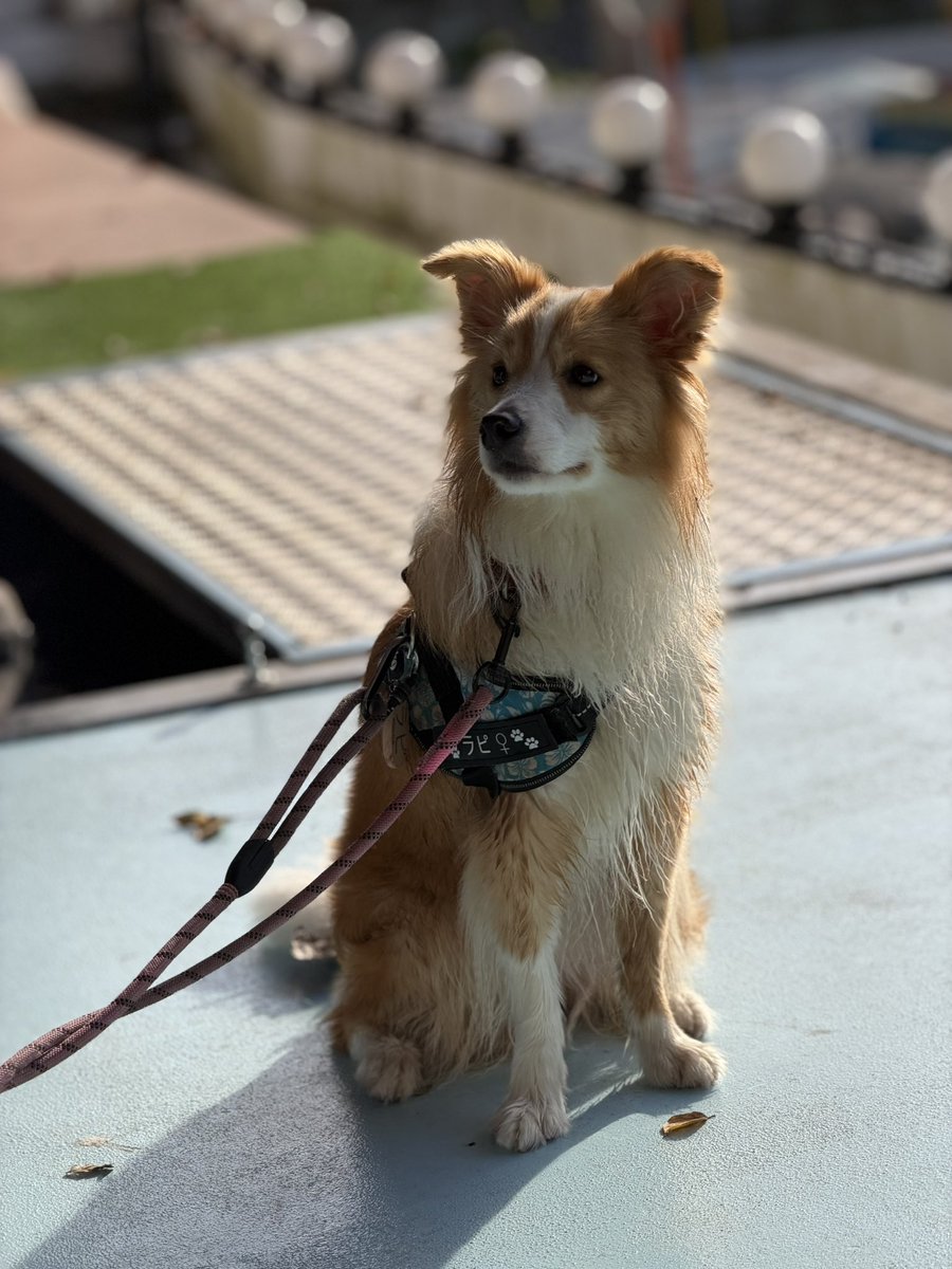 ほんとに大きくなったなぁ