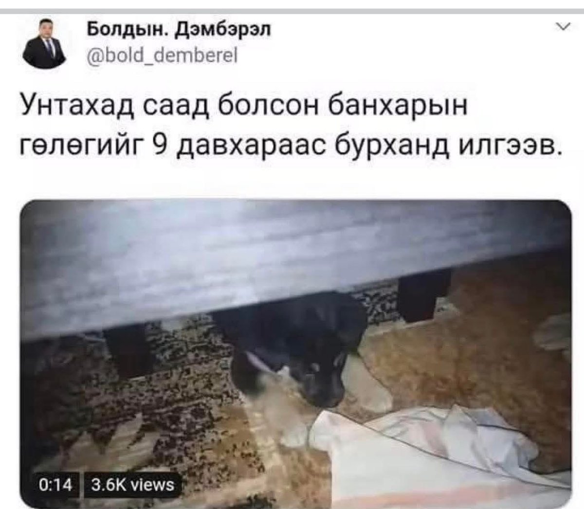 Batuka_UB's tweet image. Хүн эхлээд 6 жил Анагаахад сурна, резидент эмчээр 3 жил гээд нийт 9 жил сурч байж ЭМЧ болно!
Тэгээд Эмчээр ажиллах явцдаа байнга мэргэжил дээшлүүлж сурна.
Тэгсэн ч гэсэн салбарын ЯАМандаа дуудагдаж очоод, нэг эргүү малан пялдага намчин пяздаад доромжлуулаад суухдаа юу боддог бол