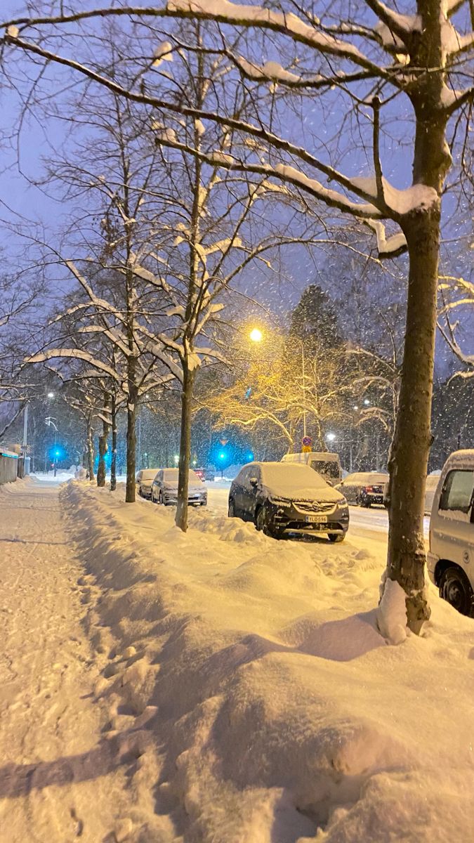 Beautiful flowers 🪷 (@annarblk) on Twitter photo 