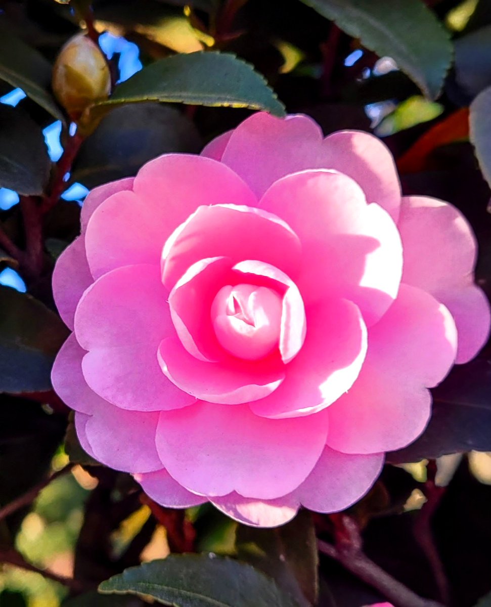 ちゅん (@aebBN6iwx957557) / Posts / X