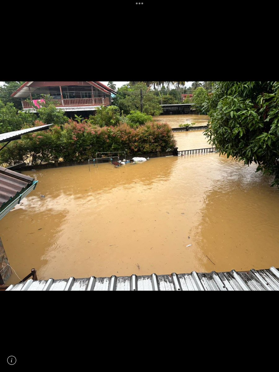 ⁶⁵ norei-ni🪽 tweet media