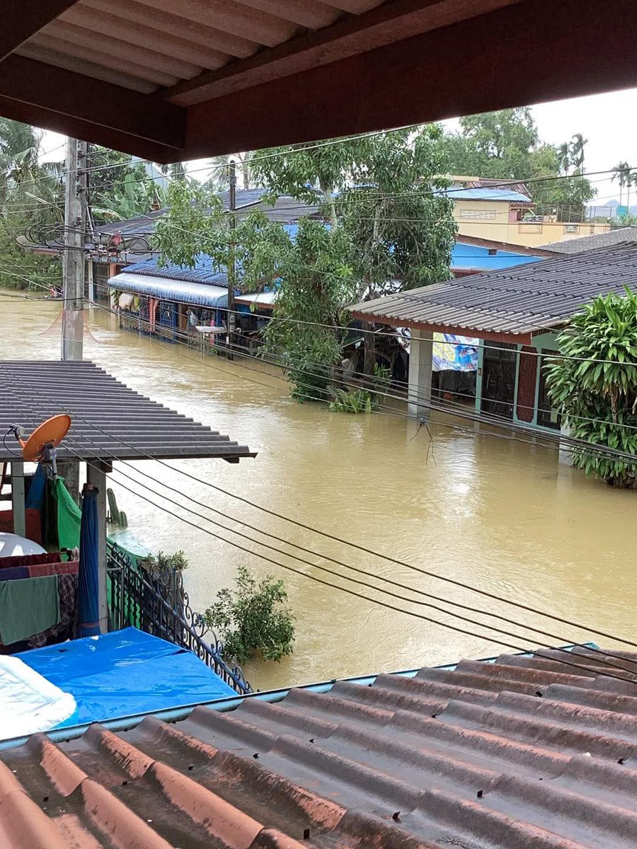 ⁶⁵ norei-ni🪽 tweet media