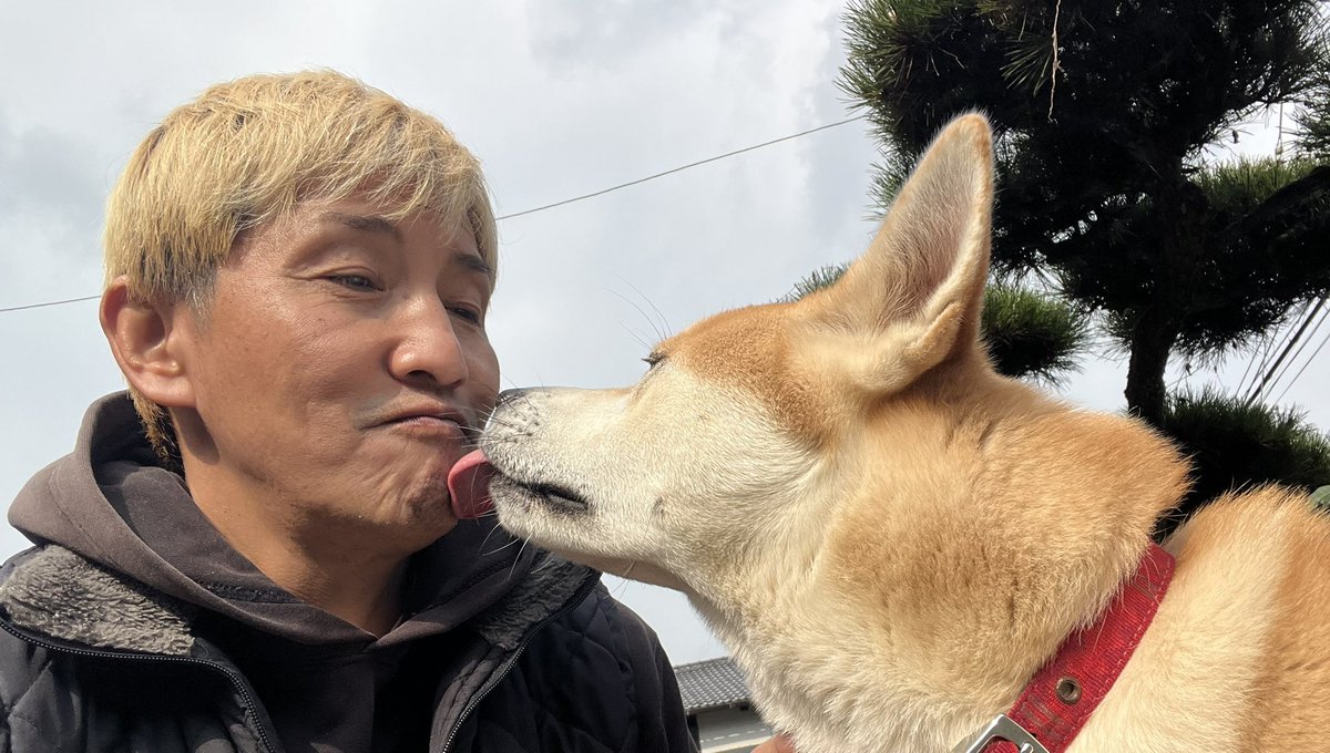 ちーちゃん🎄ZX-4RR (@bakusoumotochiz) / Posts / X