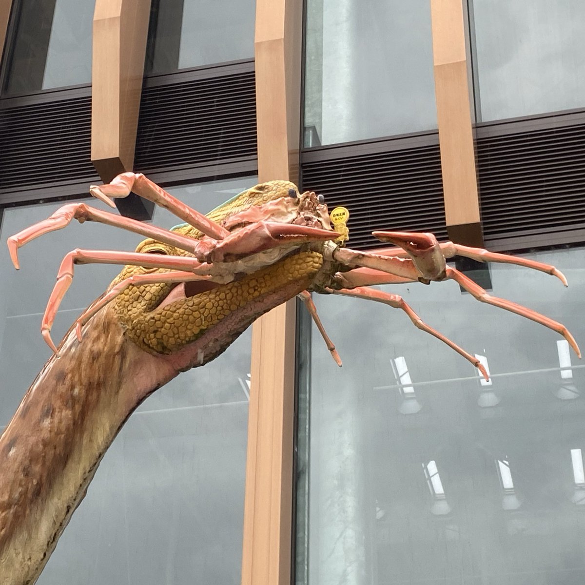 cocoapoisoning's tweet image. これを撮るためだけに屋上に出た
みぞれで寒い