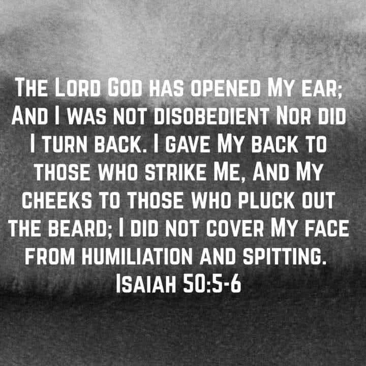 ReformedDoc's tweet image. 