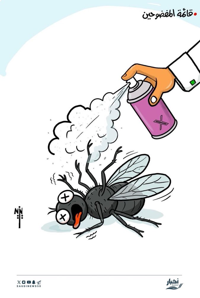 السعوديين يدعسون على ذباب الامارات