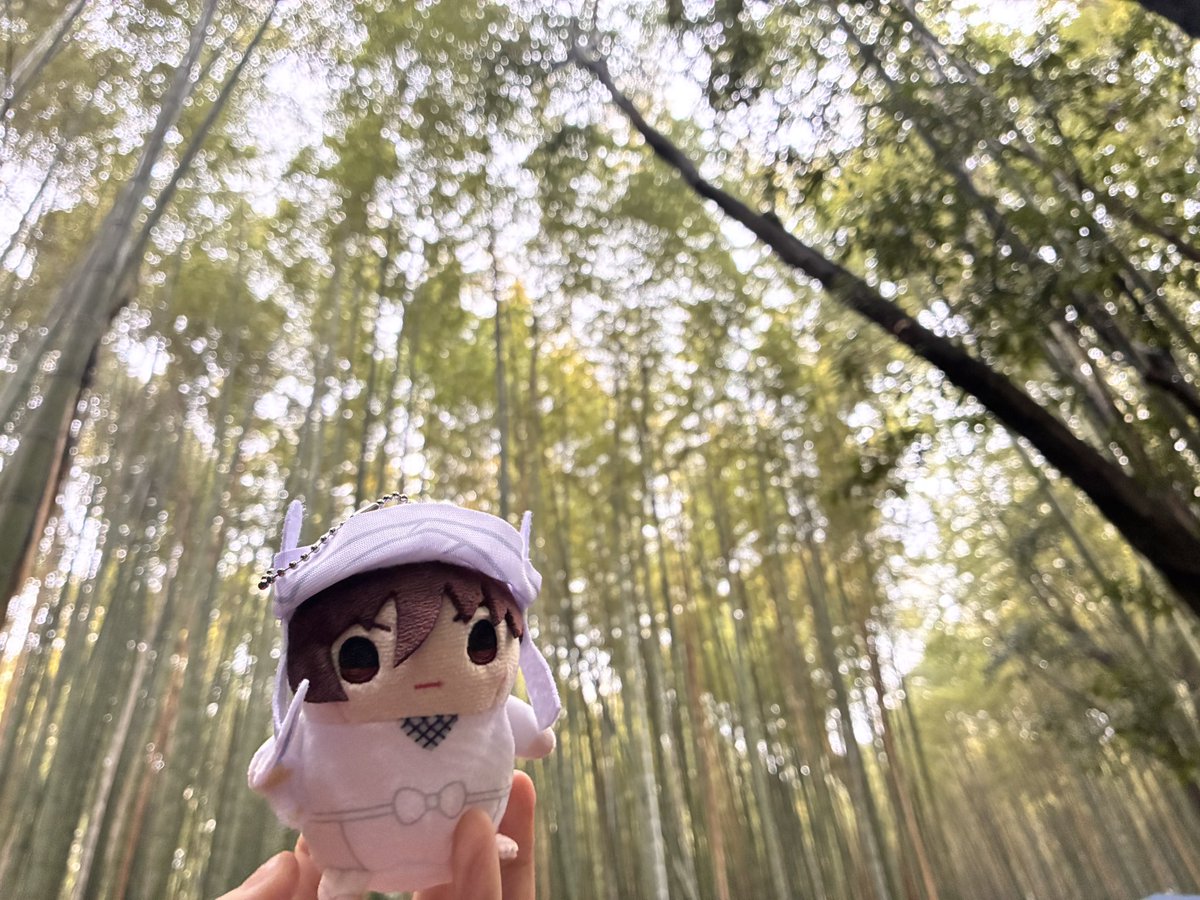 き*さ様 今月ラスト【ご祈祷付,オーダー形式⛩️✩.*˚】リピ様も可能です 発売おめでとうございます🎉🎉