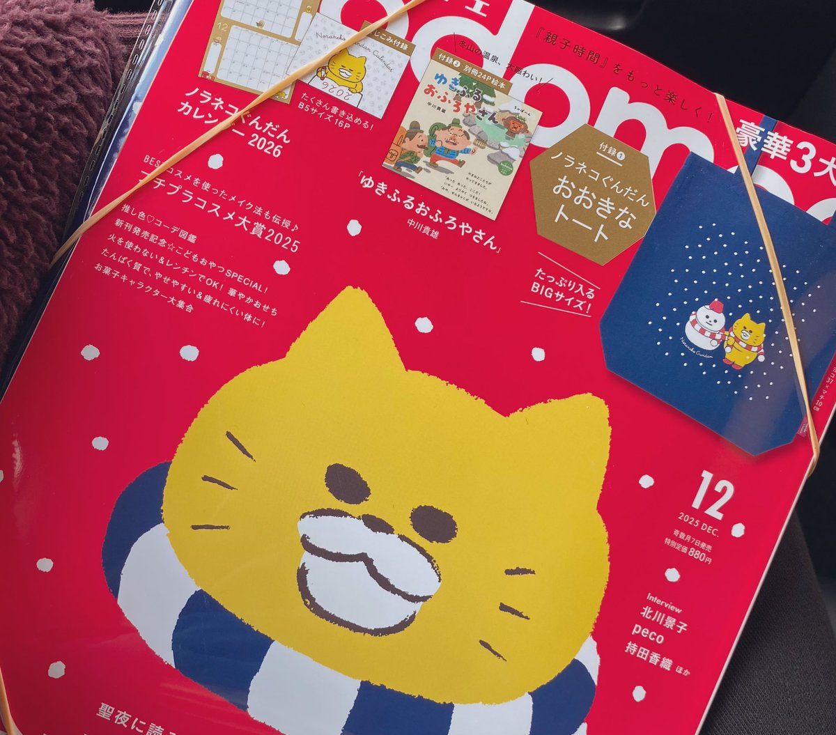 STAR_tocotoco's tweet image. 本屋さんで見つけてしまった…
来年はカレンダー見るたびにニコニコしてしまう一年だな…たまらないニャー💐