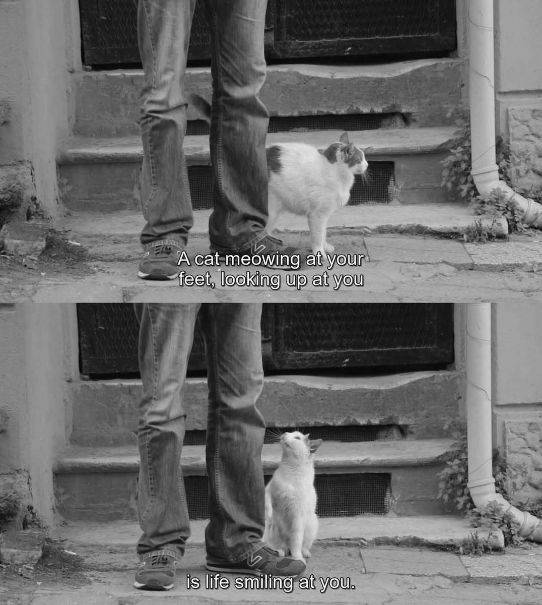 casthetics (@thecasthetics) on Twitter photo 