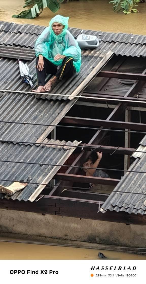 llladypp's tweet image. ** ขอความช่วยเหลือด่วนค่ะ** ยายติดอยู่ในบ้านไม่สามารถขึ้นมาบนหลังคาได้ เพราะน้ำหนักตัวเยอะ ฝากหน่วยงานเข้ามาช่วยเหลือยายด่วนๆๆนะคะ  ตอนนี้ยายหมดแรงแล้วค่ะ
พิกัด : ซอยข้างโรงพักหาดใหญ่ เพชรเกษม25 ติดนราแมนชั่น
#น้ำท่วมหาดใหญ่