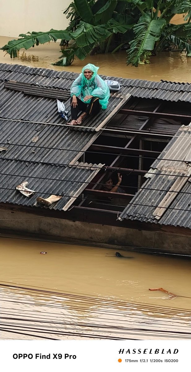 llladypp's tweet image. ** ขอความช่วยเหลือด่วนค่ะ** ยายติดอยู่ในบ้านไม่สามารถขึ้นมาบนหลังคาได้ เพราะน้ำหนักตัวเยอะ ฝากหน่วยงานเข้ามาช่วยเหลือยายด่วนๆๆนะคะ  ตอนนี้ยายหมดแรงแล้วค่ะ
พิกัด : ซอยข้างโรงพักหาดใหญ่ เพชรเกษม25 ติดนราแมนชั่น
#น้ำท่วมหาดใหญ่