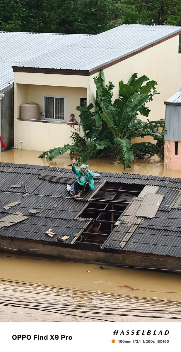 llladypp's tweet image. ** ขอความช่วยเหลือด่วนค่ะ** ยายติดอยู่ในบ้านไม่สามารถขึ้นมาบนหลังคาได้ เพราะน้ำหนักตัวเยอะ ฝากหน่วยงานเข้ามาช่วยเหลือยายด่วนๆๆนะคะ  ตอนนี้ยายหมดแรงแล้วค่ะ
พิกัด : ซอยข้างโรงพักหาดใหญ่ เพชรเกษม25 ติดนราแมนชั่น
#น้ำท่วมหาดใหญ่