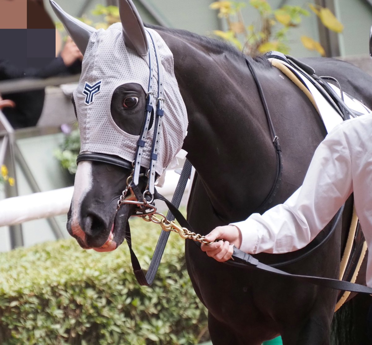 et-coquine (@et_coquine0725) / Posts / X