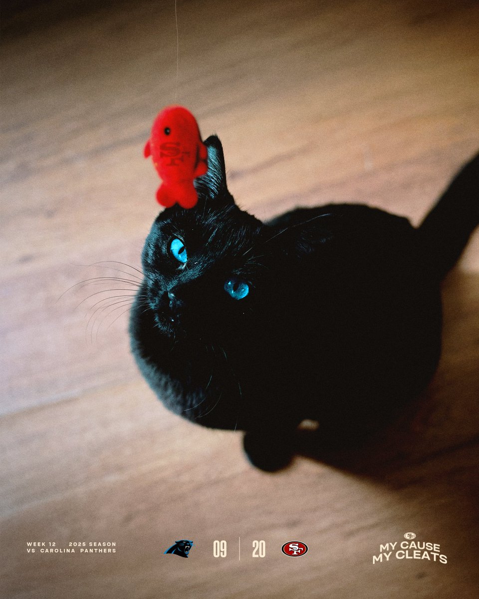 Gotta be quicker than that 🎣 