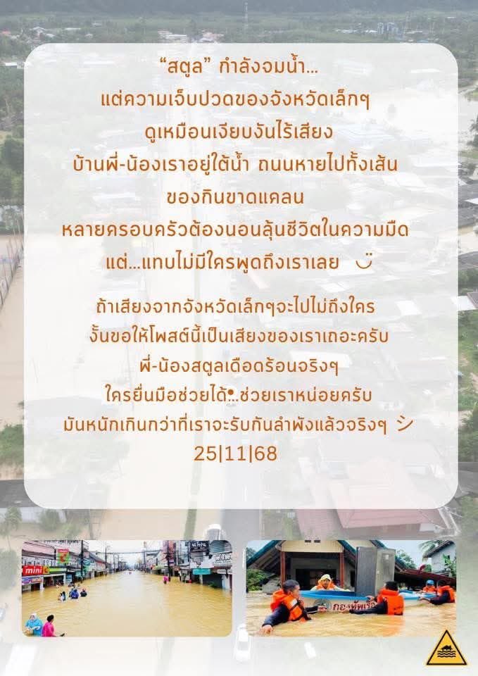 mamew✨ tweet media
