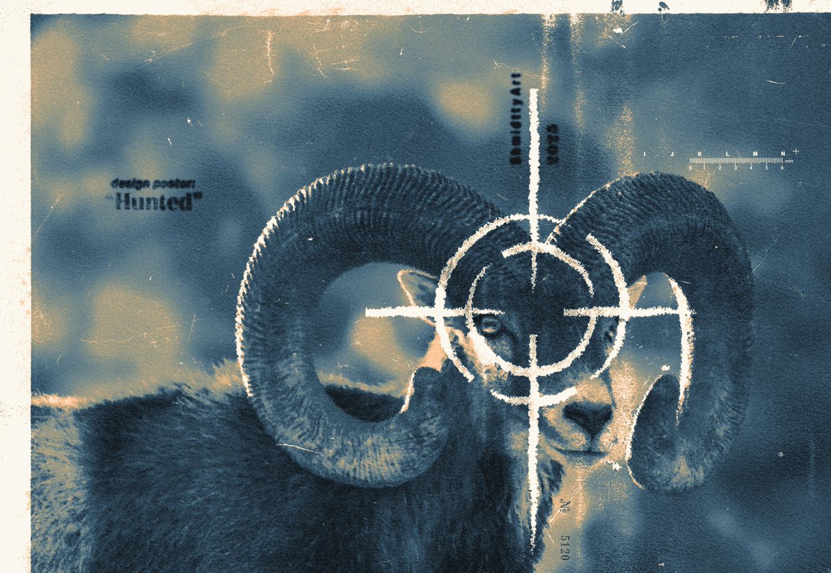 Shmidtty tweet media