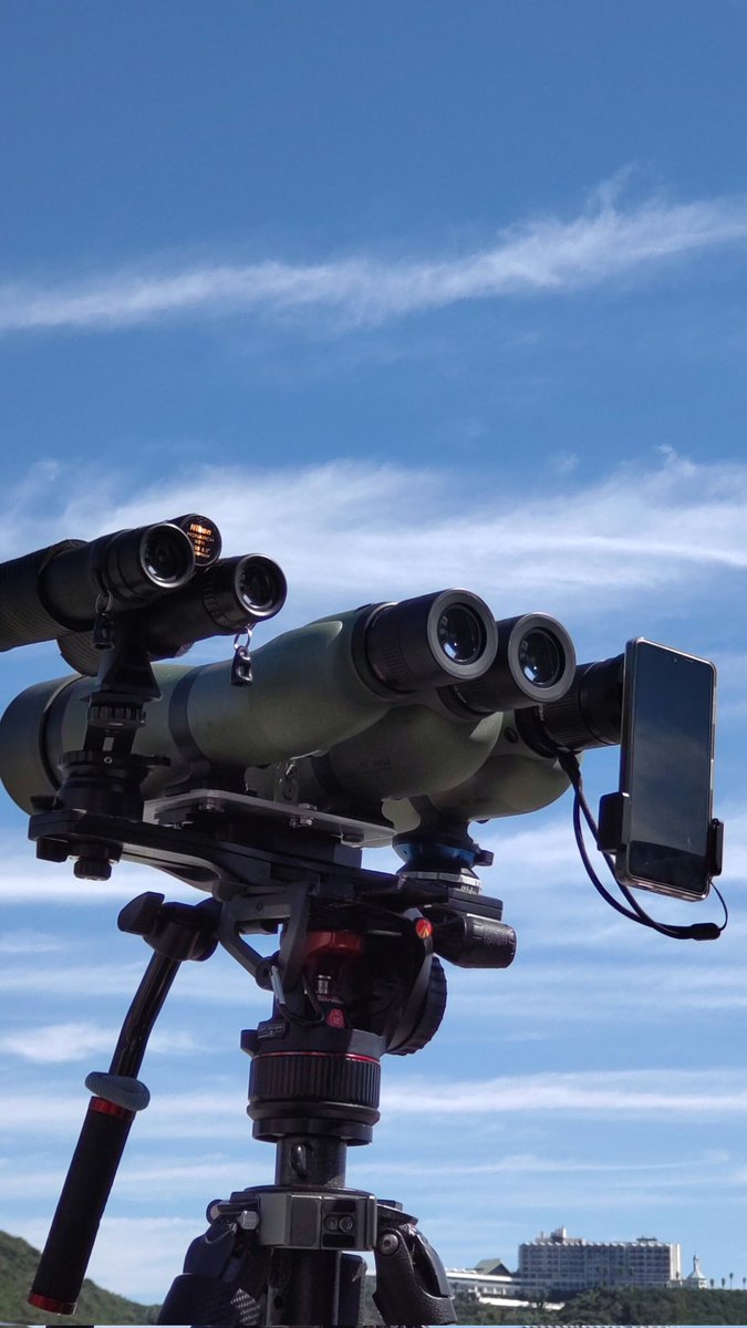 きりん🌵 (@kirinfs) / Posts / X