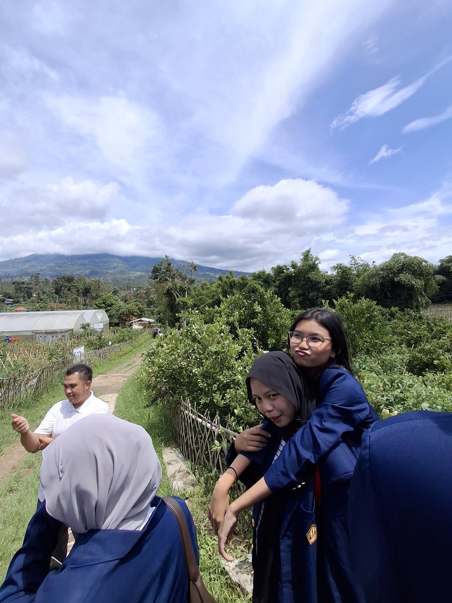 acel tweet media